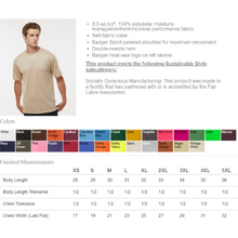 Load image into Gallery viewer, MTO / Comet Football Helmet, tees