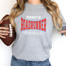 Load image into Gallery viewer, MTO / Property of Roadrunners, gildan sweatshirts