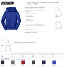 Load image into Gallery viewer, MTO / Comets, sport tek hoodie