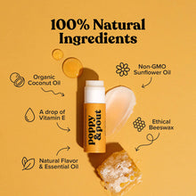 Load image into Gallery viewer, RTS / Wild Honey Lip Balm
