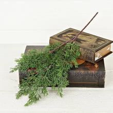 Load image into Gallery viewer, RTS / Soft Touch Evergreen Juniper Spray, 20in