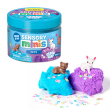 Load image into Gallery viewer, RTS / Sensory Play Kit Jar: Pets