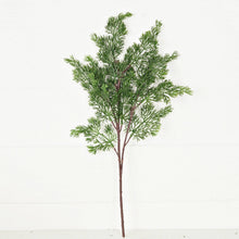 Load image into Gallery viewer, RTS / Soft Touch Evergreen Juniper Spray, 20in