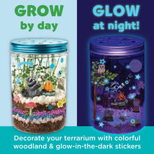 Load image into Gallery viewer, RTS / Grow N' Glow Terrarium- DIY Craft Kit