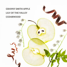 Load image into Gallery viewer, RTS / Applelicious Power Mist Hydrating Hand Sanitizer