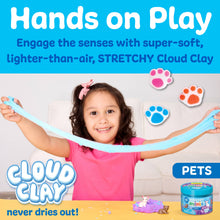 Load image into Gallery viewer, RTS / Sensory Play Kit Jar: Pets