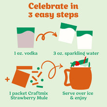 Load image into Gallery viewer, RTS / Strawberry Mule Cocktail / Mocktail Mixer