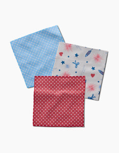 Geometry / Freedom Dishcloth Set