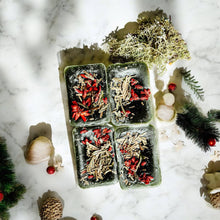 Load image into Gallery viewer, RTS / Christmas Wax Melt - Cedar Berry