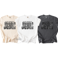 Load image into Gallery viewer, MTO / Ankeny Centennial Tall Distressed, tee