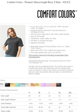 Load image into Gallery viewer, RTS / Comets, boxy tee