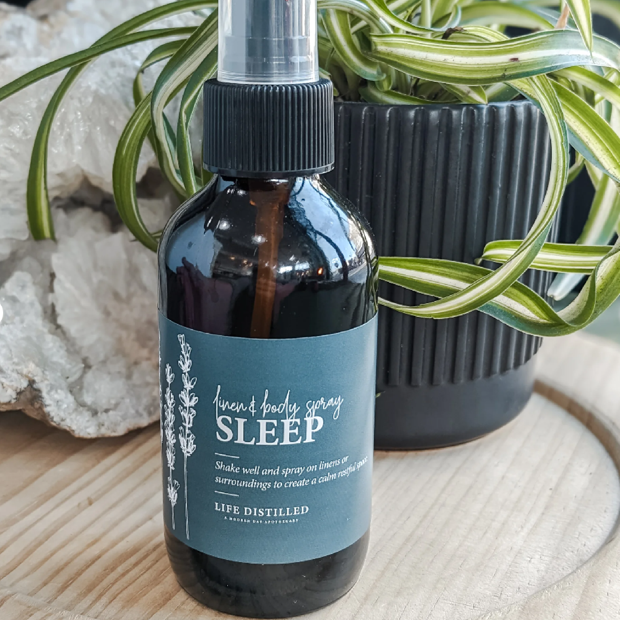 Life Distilled, Sleep