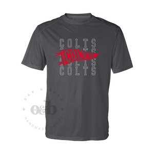 MTO / Varsity DCG Colts, performance