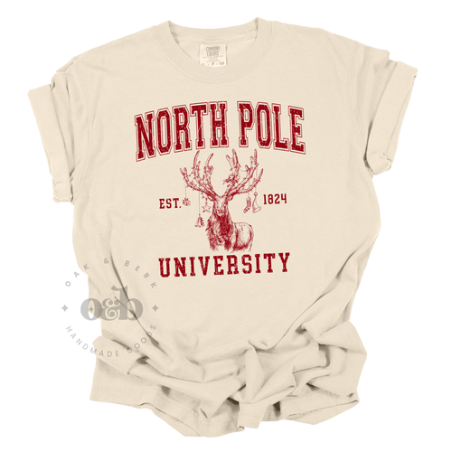 RTS / North Pole University