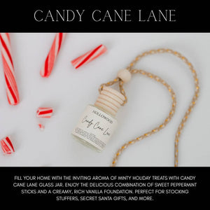 RTS / Holy Cranberry Car Diffuser