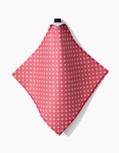 Load image into Gallery viewer, Geometry / Freedom Dishcloth Set