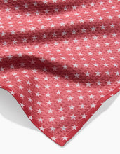 Load image into Gallery viewer, Geometry / Freedom Dishcloth Set