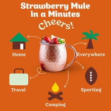 Load image into Gallery viewer, RTS / Strawberry Mule Cocktail / Mocktail Mixer
