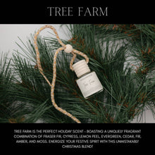 Load image into Gallery viewer, RTS / Holy Cranberry Car Diffuser